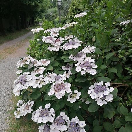 Lavanda Appartamento Vigliano Biellese Kültér fotó